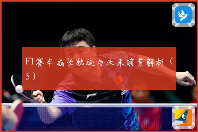 F1赛车成长轨迹与未来前景解析（5）