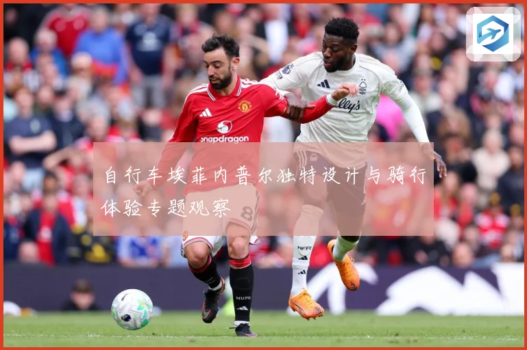 自行车埃菲内普尔独特设计与骑行体验专题观察